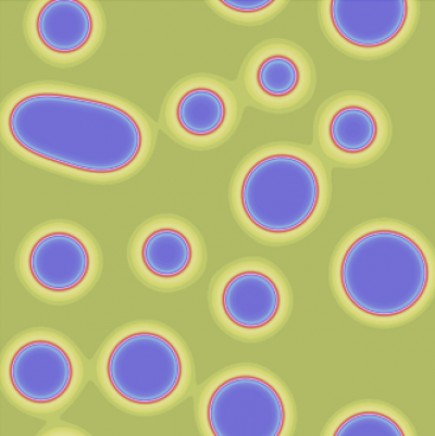 PDE Models for Pattern Formation 